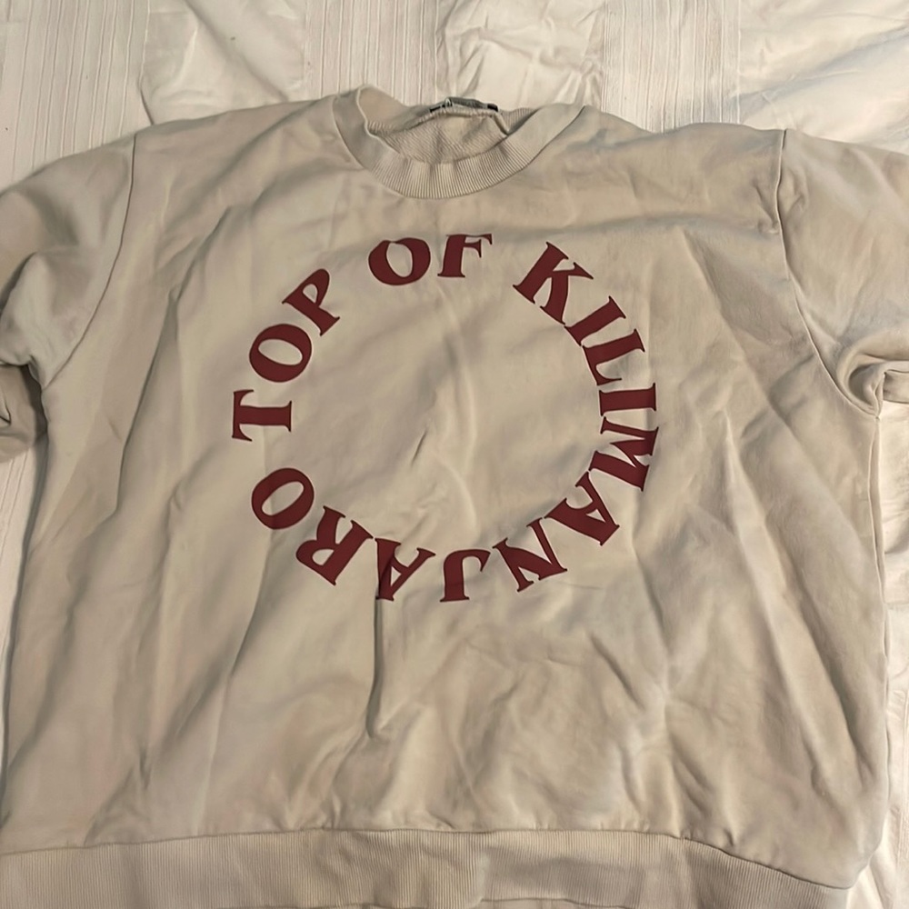 zara cropped sweatshirt size medium